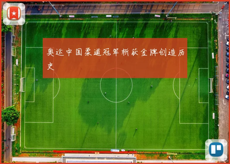 奥运中国柔道冠军斩获金牌创造历史