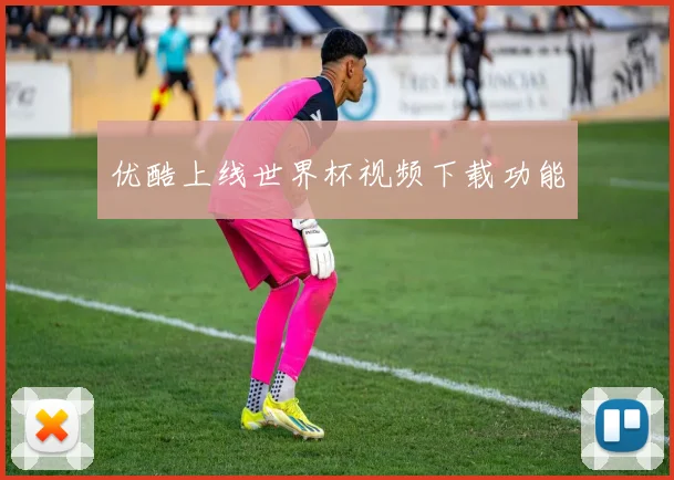 优酷上线世界杯视频下载功能