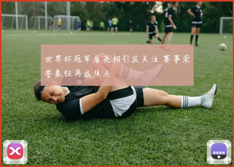 世界杯冠军盾亮相引发关注 赛事荣誉象征再成焦点
