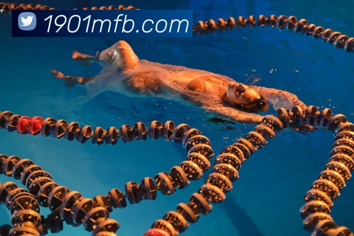 世界杯官网中文版服务体系